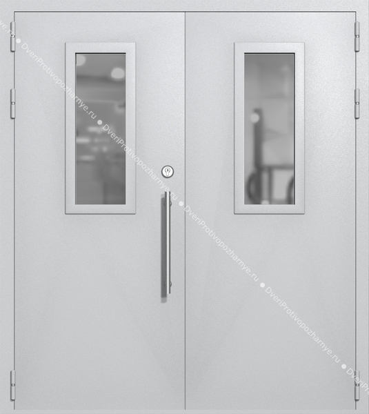 Двупольная техническая дверь со стеклами 700x300 (цвет светло-серый RAL 7047) Двупольная техническая дверь со стеклами 700x300 (цвет светло-серый RAL 7047)